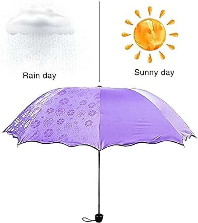 sub-image